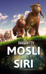 Mosli Siri Multfilm HD Uzbek tilida Tarjima multfilm