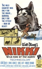 Nikki Shimolning Zotdor Iti 1961 Retro kino HD