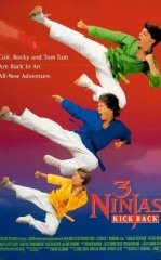Uch Ninza 2 : Javob Zarbasi / 3 Nindzya 2 1994 HD