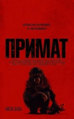 Quturgan Maymun 2025 HD tas-ix