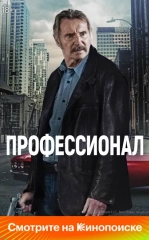Professional 2024 HD