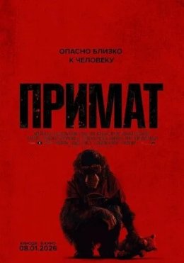 Quturgan Maymun 2025 HD tas-ix